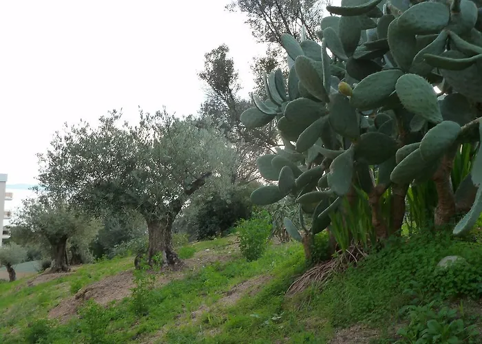 Appartamento F2 Le Lavezzi Ajaccio (Corsica)