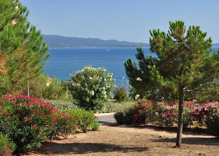 F2 Le Lavezzi Appartamento